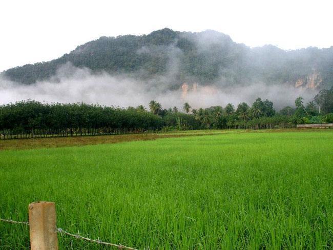 Naris Phuview Resort Satun Ngoại thất bức ảnh
